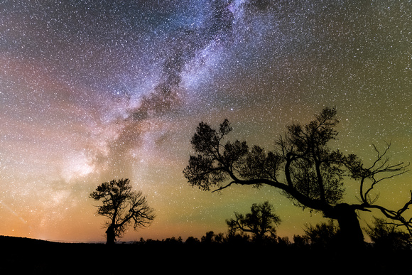 Milky Way Over San Luis  Valley, Crestone
