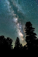 Forest Milky Way; Crestone, Colorado